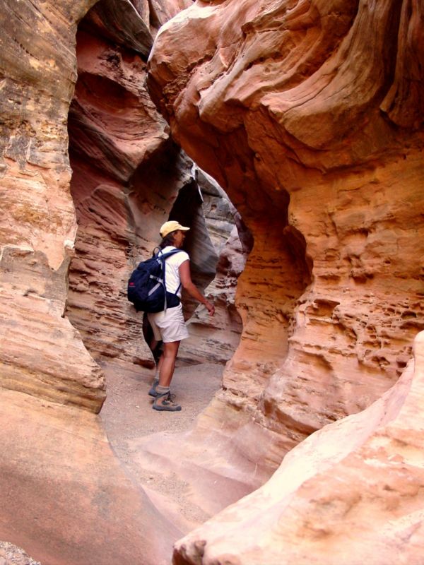 04160302LittleWildHorse (1062)